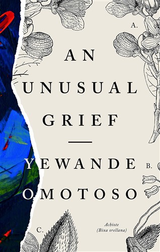 An Unusual Grief by Yewande Omotoso